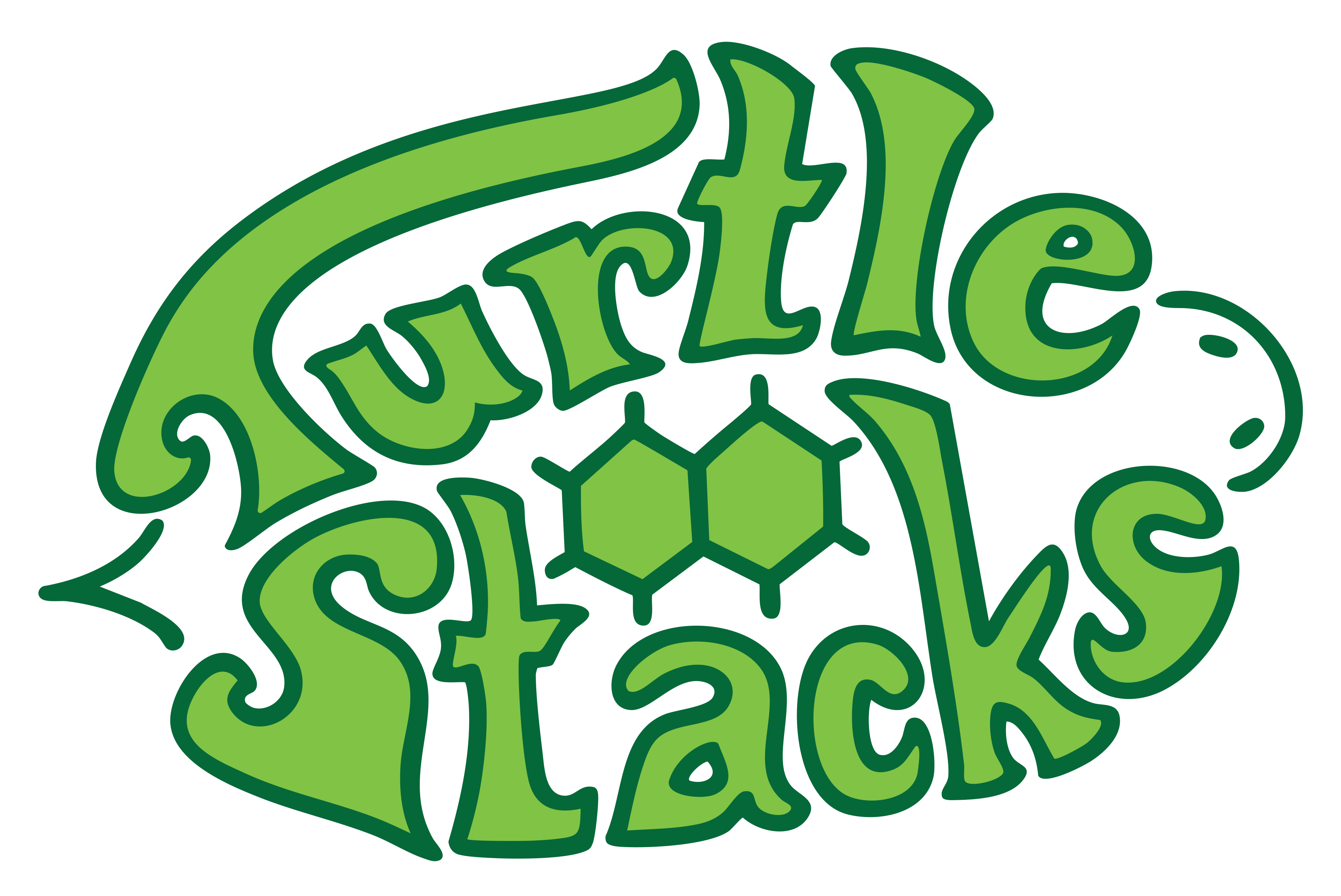 Turtle Stacks logo